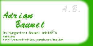 adrian baumel business card